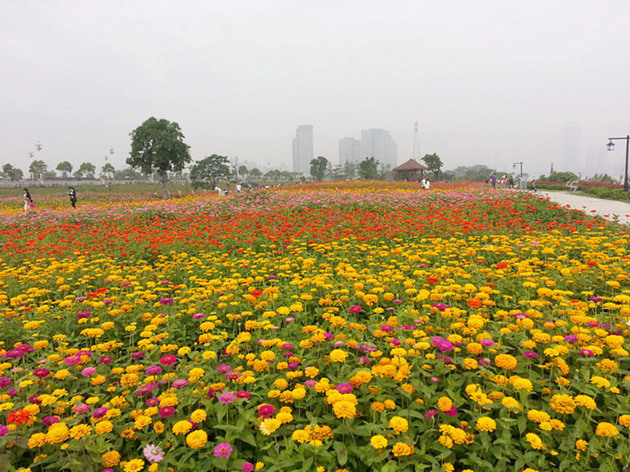 閲庤姳缁勫悎2_鍓湰.jpg