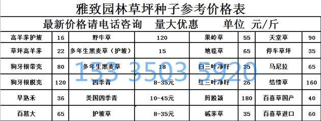 三叶草种子(图1)